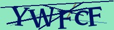 anibot image